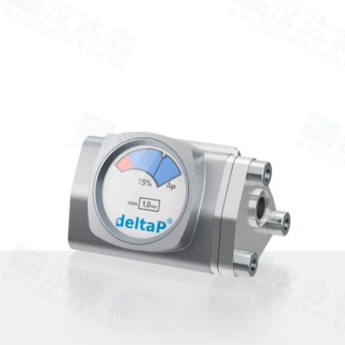 ��FRIEDRICHS�ָʾ��DP 5.01